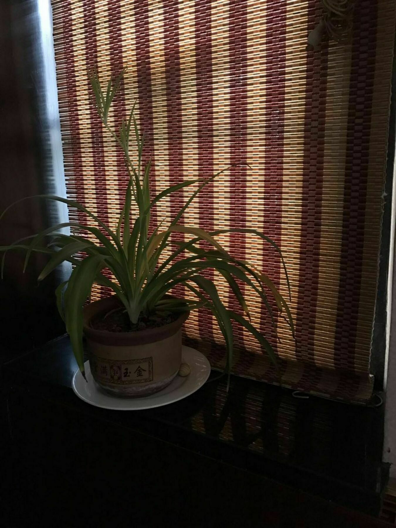 Pingyao Free Heart Hotel Dış mekan fotoğraf